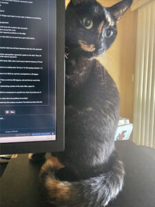 A small mostly black tortoiseshell cat is sitting on a black Lenovo laptop. She is partially behind a monitor. On the edge of the monitor, a console can be seen running endless LLM output.